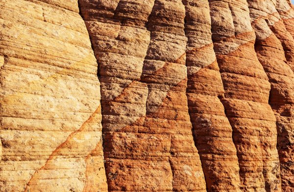 Quelles étapes suivre pour devenir un coach en nutrition ?